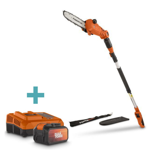 Dual Power - 40V Cordless Telescopic Chainsaw - 250mm Combo