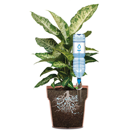 GF RECO - Aquaflora Holiday - Self Watering System