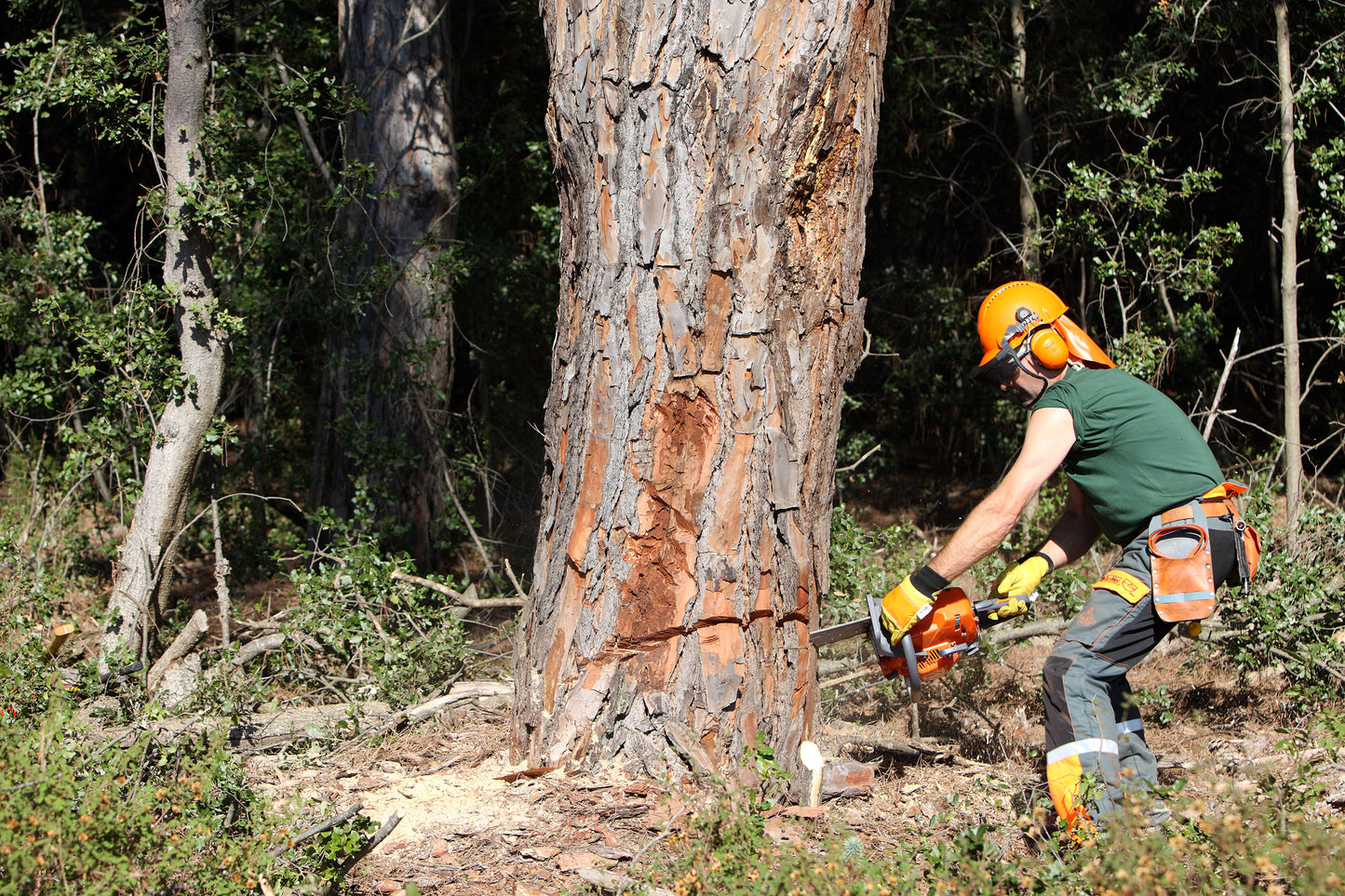 Oleo-Mac - 3.5KW Chainsaw - OM GS 650