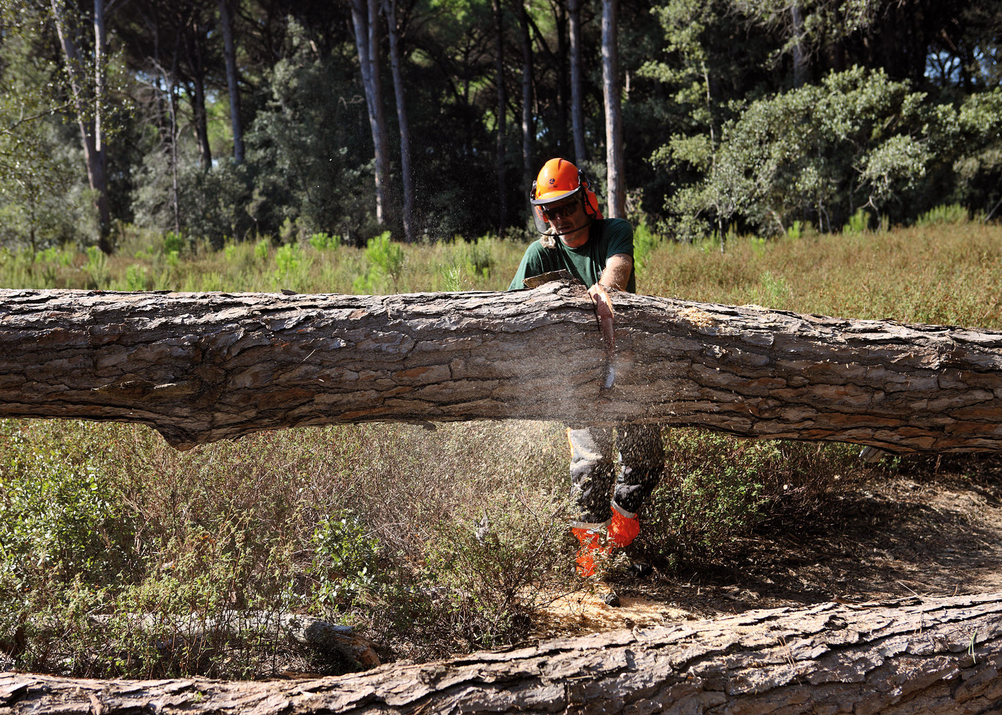 Oleo-Mac - 3.5KW Chainsaw - OM GS 650