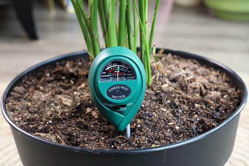 Red Rhino - 3-Way Moisture Meter/Soil Tester - Moisture, Light, PH