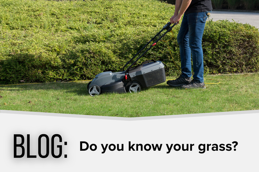 Love Your Garden: Do you know your grass?