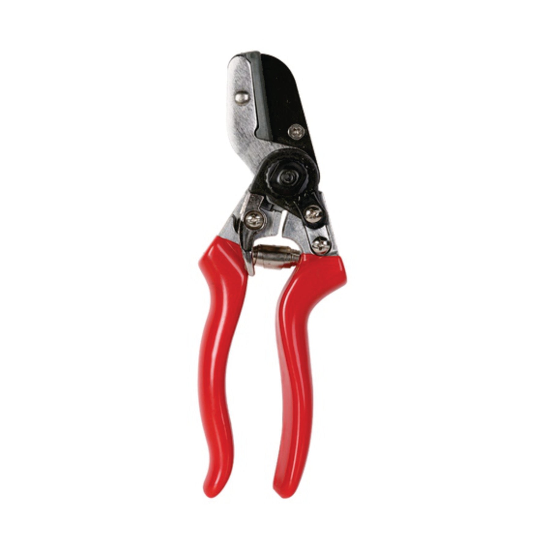 Red Rhino - Pruning Shears - Anvil