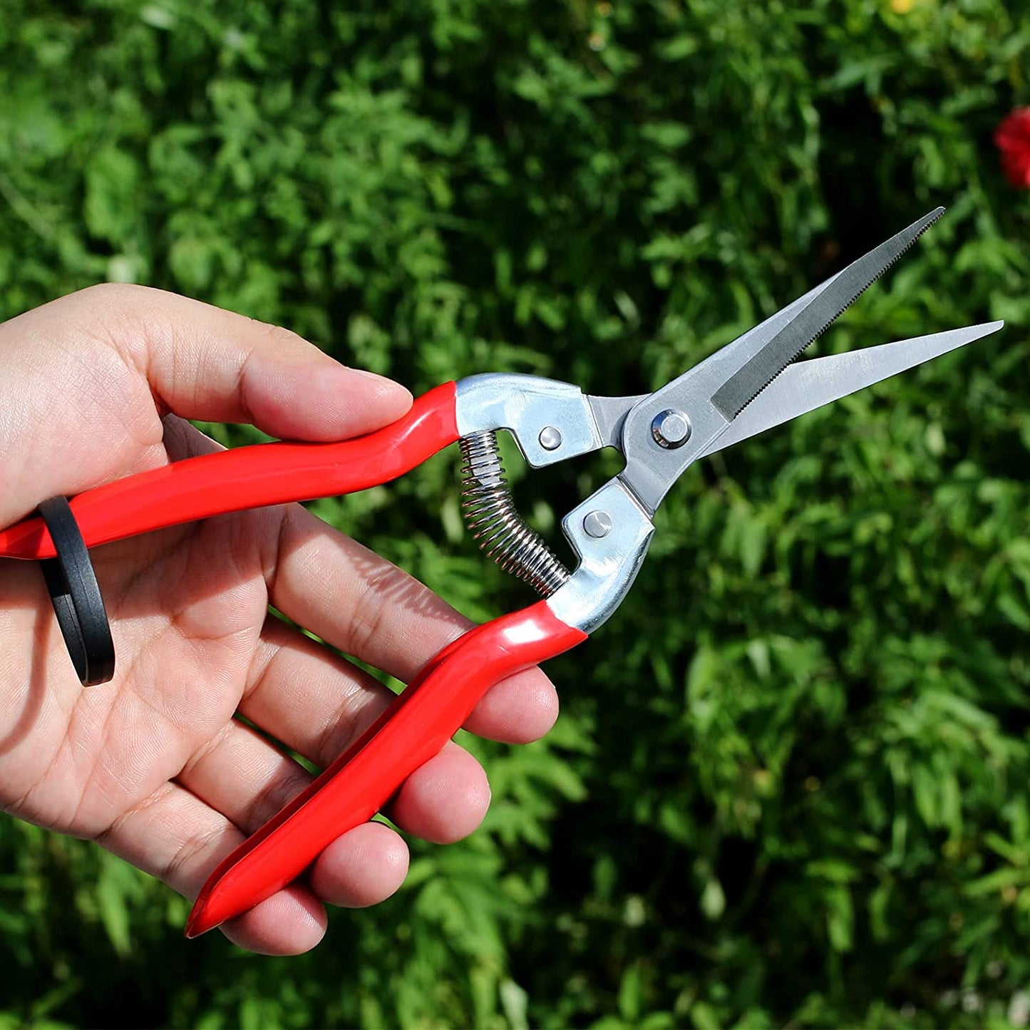 Red Rhino - Pruning Shears - Flower